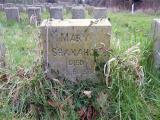 image of grave number 233003